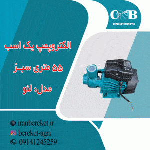 الکتروپمپ یک اسب 55 متری سبز